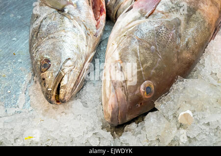 Two fishes on ice for sale at a market Stock Photo