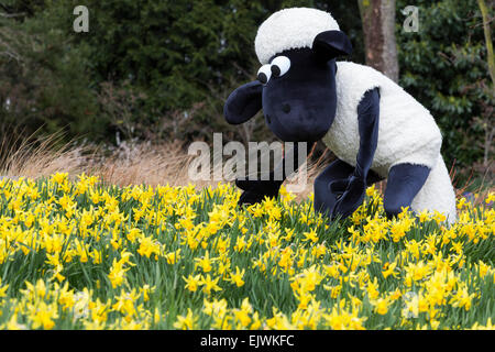 Shaun the Sheep with daffodils. Kew Gardens' Easter Festival 'Shaun the Sheep' opens at Kew Gardens on 28 March and runs to 12 April 2015. Stock Photo