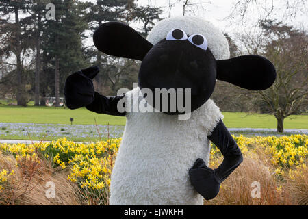 Shaun the Sheep with daffodils. Kew Gardens' Easter Festival 'Shaun the Sheep' opens at Kew Gardens on 28 March and runs to 12 April 2015. Stock Photo