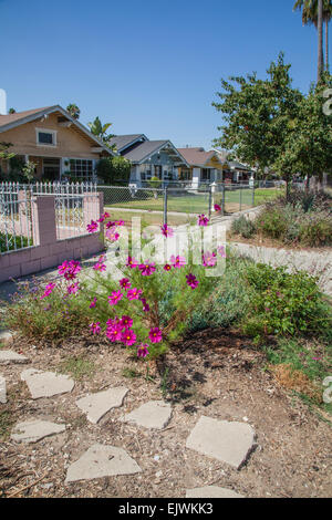 Los Angeles, California, USA. 01st Apr, 2015. On April 1, 2015, California Governor Jerry Brown announced first time in history mandatory water cutbacks as the state enters a fourth year of severe drought. The watering of decorative grasses on public street medians is banned. Credit:  Citizen of the Planet/Alamy Live News Stock Photo