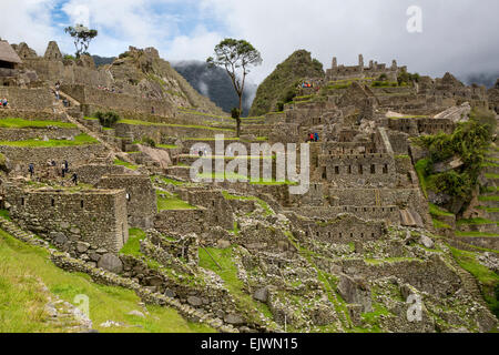 Peru, Machu Picchu. Western Urban Sector. Preservation Work Under Way ...