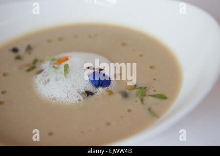 Caramelized cauliflower soup, with horseradish foam & wild flower garnish, served in a white bowl. Stock Photo