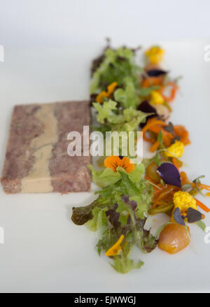 Smoked ham hock and foie gras terrine with home made piccalilli and salad garnish served on a white plate. Stock Photo