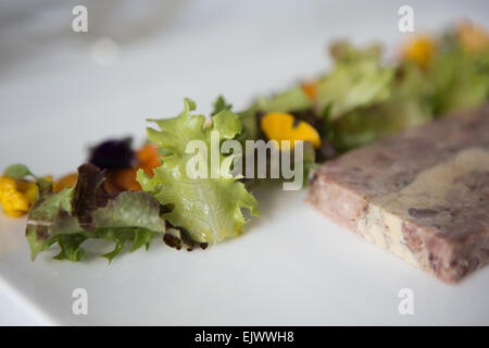 Smoked ham hock and foie gras terrine with home made piccalilli and salad garnish served on a white plate. Stock Photo