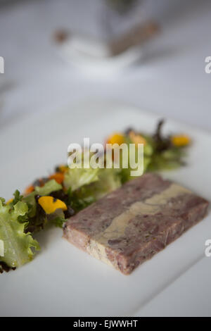 Smoked ham hock and foie gras terrine with home made piccalilli and salad garnish served on a white plate. Stock Photo