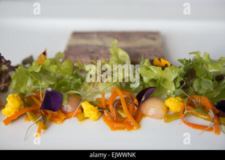 Smoked ham hock and foie gras terrine with home made piccalilli and salad garnish served on a white plate. Stock Photo