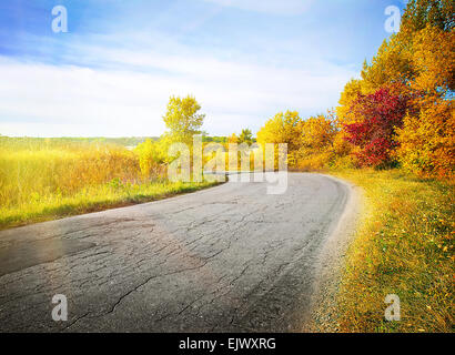 Country road winding among yellow autumn trees under the bright sun Stock Photo