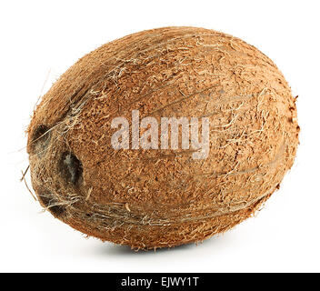 Ripe brown coconut Stock Photo - Alamy