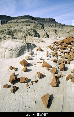 Colorful rocks and white Bentonite lay at the  Bisti Wilderness Area near Farmington, NM Stock Photo