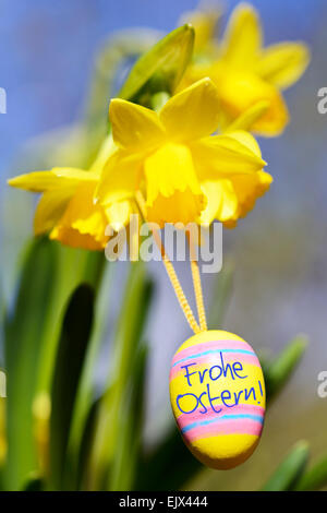Daffodils with Easter Egg, German Easter greeting Stock Photo
