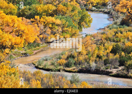 Chama River and cottonwoods in fall colors, Abiquiu, New Mexico USA ...