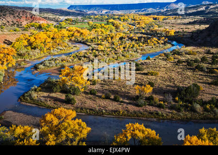 In October the cottonwood trees along the Chama River near the village of Abiquiu in  northern New Mexico. Stock Photo