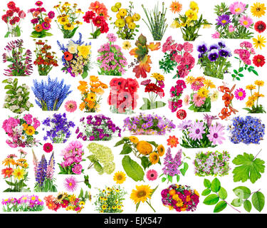 Big set of the isolated floral design elements for collages. All full size images you  find in my portfolio. Stock Photo