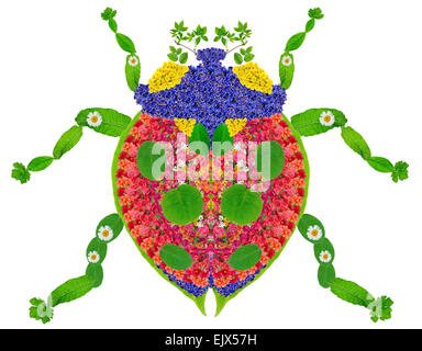 Ladybug insect  abstract collage made from fresh summer flowers.  Isolated Stock Photo