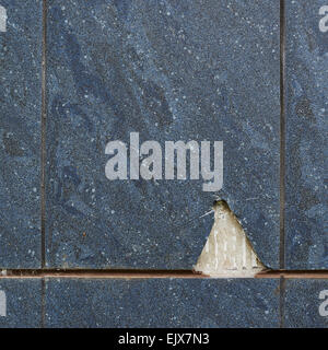 Blue tile texture background Stock Photo