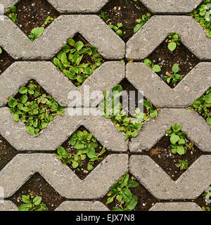 Earth ground covered with tiles Stock Photo