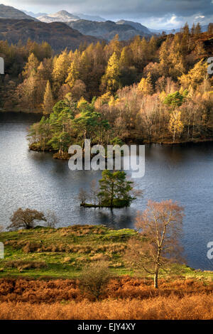 Tarn Hows in the Lake District National Park, captured on an evening in early November from near the Scott Monument. Stock Photo
