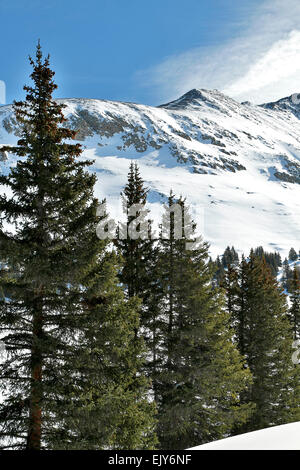 Snow-covered Ten-Mile Range and pine trees from Mayflower Gulch, near Copper Mountain, Colorado USA Stock Photo