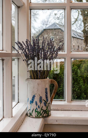 Jug containing dried lavender flowers in porch window Stock Photo