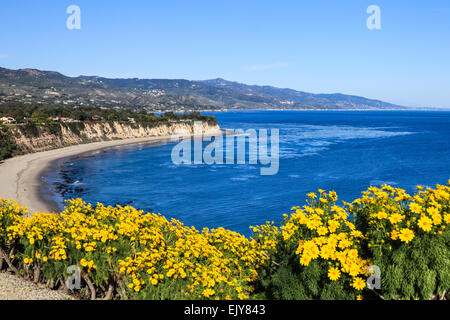 Wildflowers at Point Dume State Preserve in Malibu Stock Photo