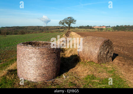 Hay bales in a field, Nottinghamshire, UK.  In the distance is steam rising from the Ratcliffe-on-Soar power station. Stock Photo