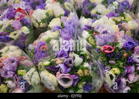 Bundles of cut Anemone blanda at market in Paris, France Stock Photo