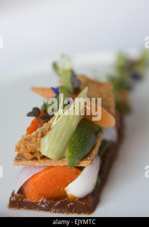 Vegetable tartlet, tomato jam and crispy chicken served on a white plate. Stock Photo