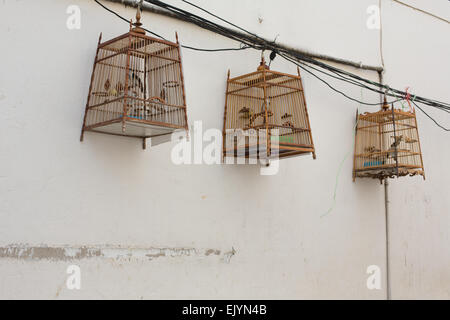 Asian birds hang from three bamboo cages from a side street (Soi) in Thonburi, Bangkok, Thailand. Stock Photo