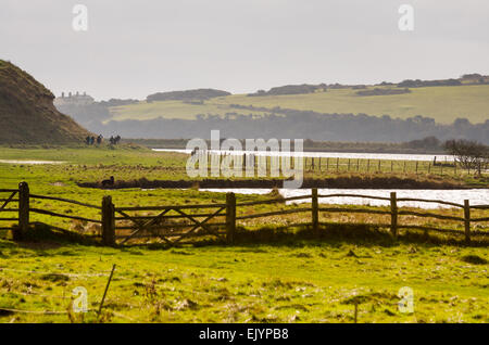 Looking across Cuckmere Haven towards the sea, with fields, fences and the river. Stock Photo