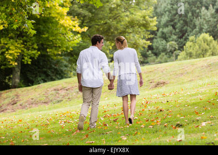 rear view of young couple walking hand in hand at the park
