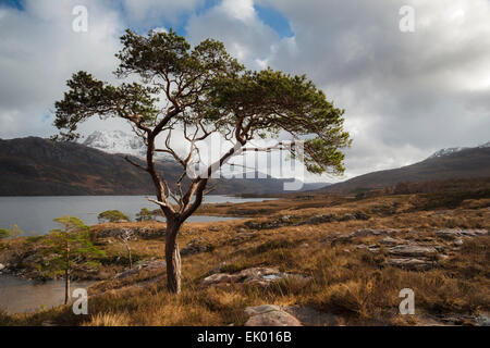 Loch Maree with Slioch behind in Wester Ross, Scotland Stock Photo