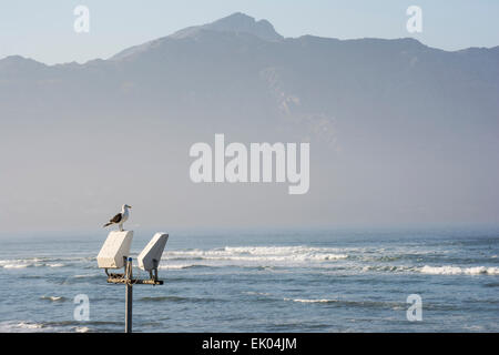 A gull sitting on a street light overlooking the sea with mountains in the background Stock Photo