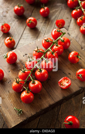 Raw Organic Red Cherry Tomatoes on the Vine Stock Photo