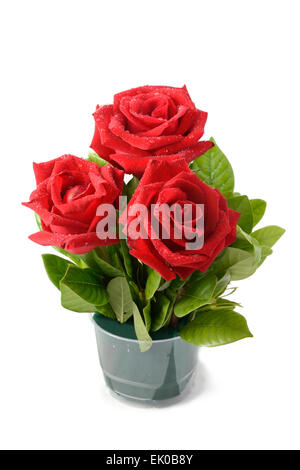 Three red roses in vase on a white background. Stock Photo