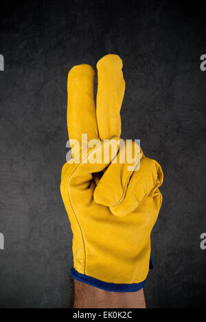 Men's hands in work gloves with a yellow screwdriver screw the roofing  sheet to the roof of a country house. Cordless drill Stock Photo - Alamy