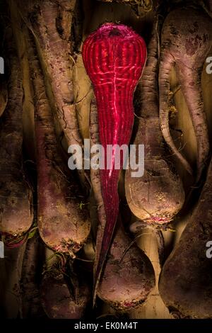 nobody, no one, no-one, healthy eating, fresh, food, food and drink, produce, vegetables, raw, beetroot, red, crapaudine, half, still life, studio shot, studio shots Stock Photo