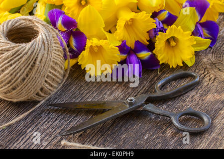 easter daffodils and irise Stock Photo