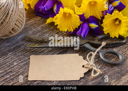 easter daffodils and irise Stock Photo