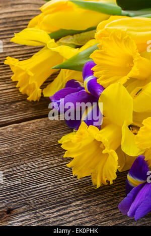 easter daffodils and irise Stock Photo