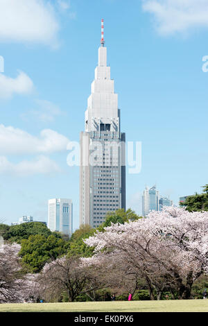 Cherry blossoms and the NTT DOCOMO Yoyogi Building, Shinjuku, Tokyo Stock Photo