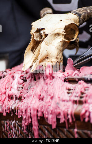 Goat skull surrounded by pink wax drippings Stock Photo