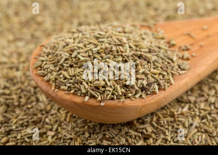 Dried rosemary leaves in wooden spoon over background Stock Photo