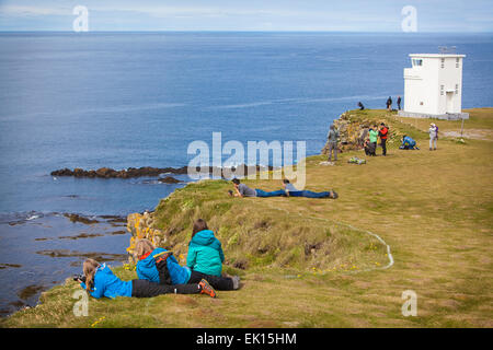 People on the Latrabjarg cliffs in the Westfjords of Iceland looking at Puffin birds. Stock Photo
