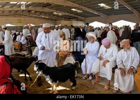 Bedu (Bedouin) people buying and selling goats at animal market in Sinaw, Oman Stock Photo