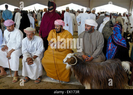 Bedu (Bedouin) people buying and selling goats at animal market in Sinaw, Oman Stock Photo