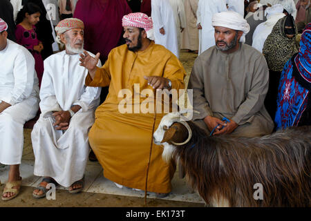 Bedu (Bedouin) people buying and selling goats at animal market in Sinaw, Oman Stock Photo