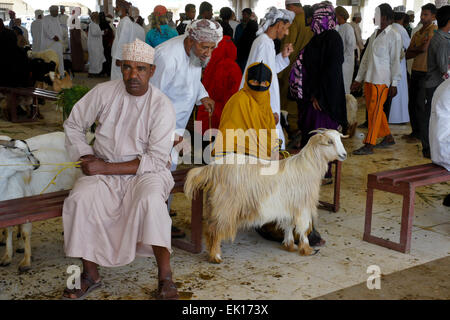 Bedu (Bedouin) people buying and selling goats at animal market in Sinaw, Oman Stock Photo