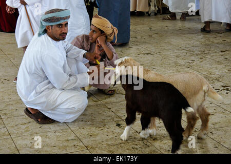 Bedu (Bedouin) man and his son selling goats at animal market in Sinaw, Oman Stock Photo