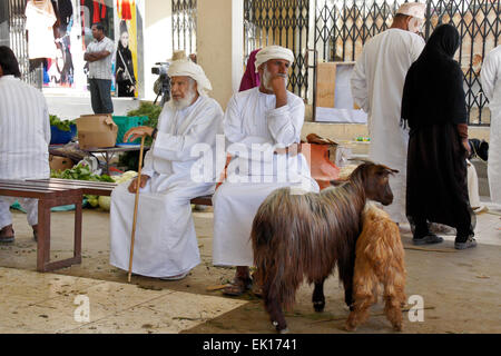 Bedu (Bedouin) man selling goats at animal market in Sinaw, Oman Stock Photo