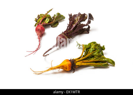 Yellow pink and traditional purple Beetroot isolated on a white studio background. Stock Photo